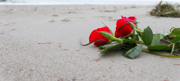 9973-roses-on-the-beach-1920x1080-flower-wallpaper